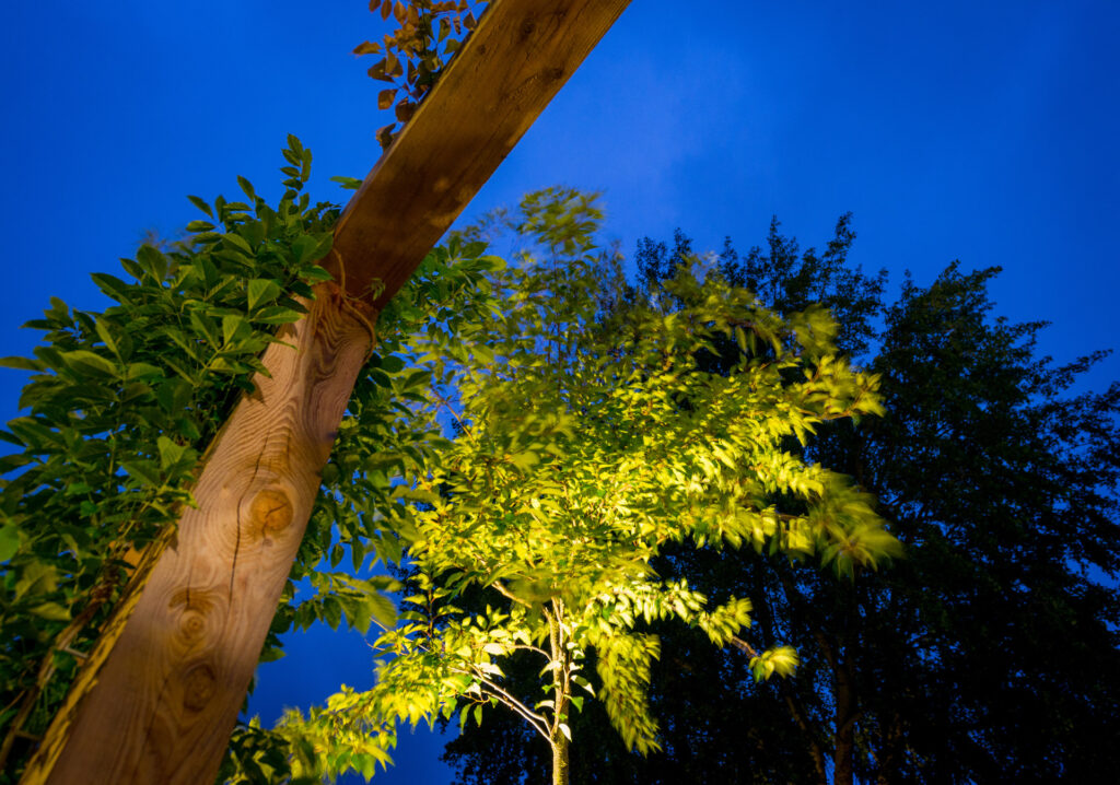Tuinverlichting Gorinchem Zuid-Holland - Van Rosmalen Hoveniers