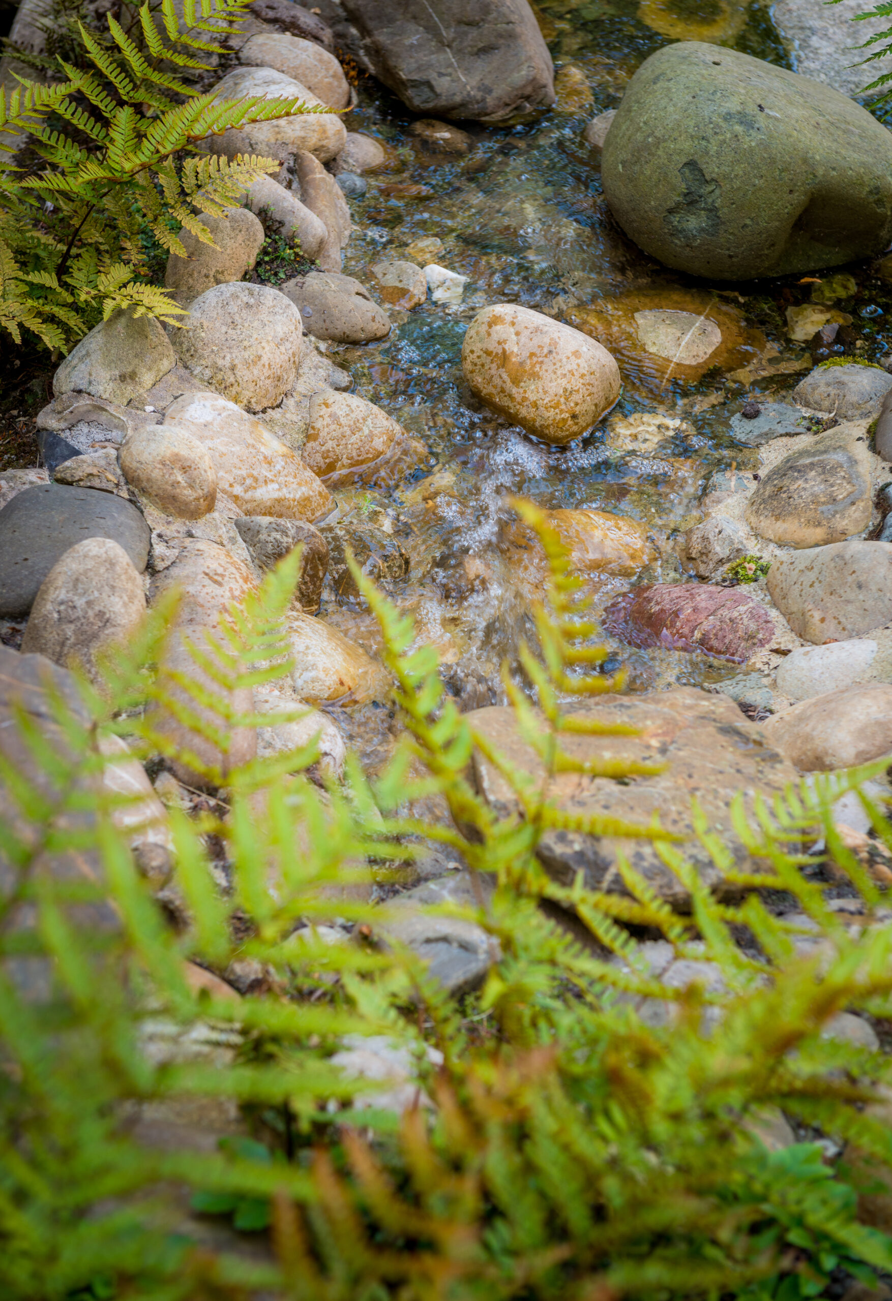 Regenwatervoorziening tuin