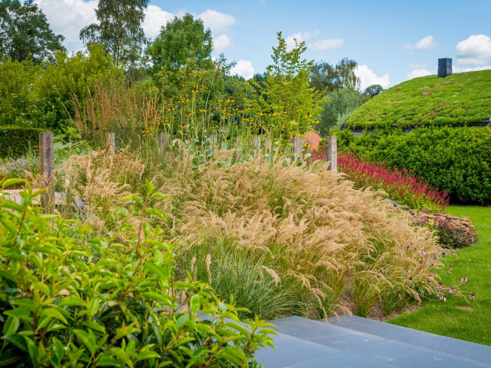 Grote tuin met buitenverblijf - Van Rosmalen Tuinen